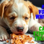 Why is My Puppy Vomiting White Foam Causes, Symptoms & Treatment